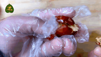 100804fbklhuy11bt6uv99.gif