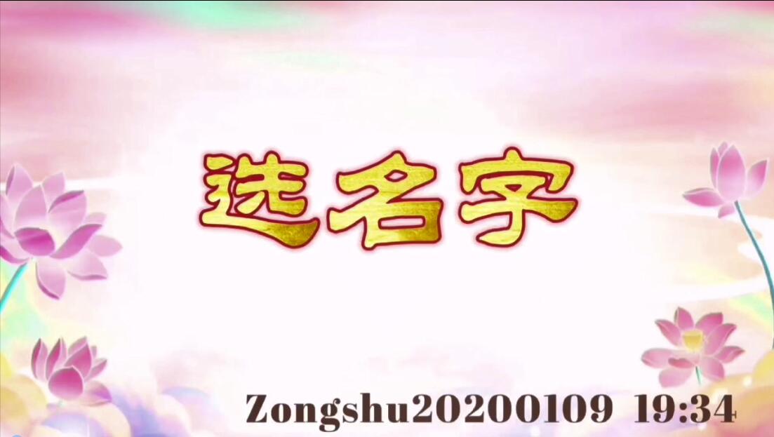 选名字 zongshu20200109_1934